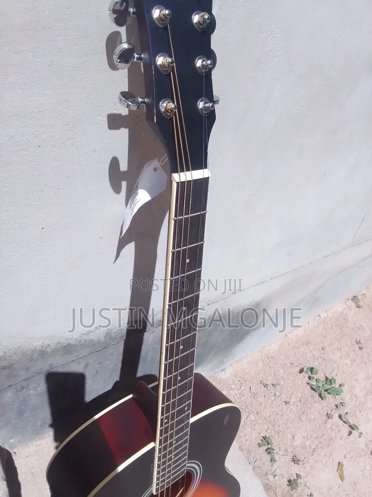 Electric Acoustic Guitar