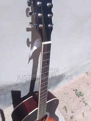 Electric Acoustic Guitar