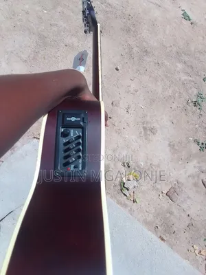 Electric Acoustic Guitar