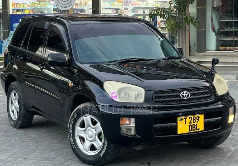 Toyota RAV4 2002 Black