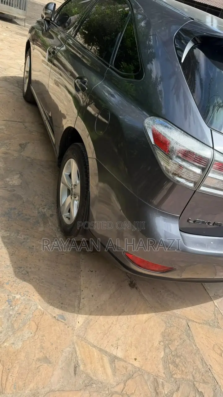 Lexus RX 2010 Gray