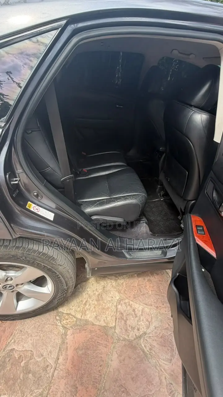 Lexus RX 2010 Gray