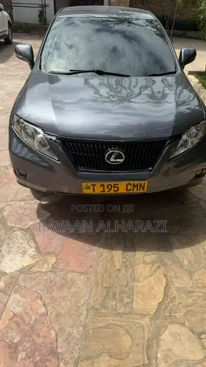 Lexus RX 2010 Gray