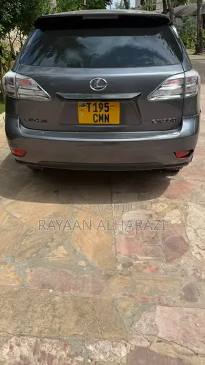Lexus RX 2010 Gray