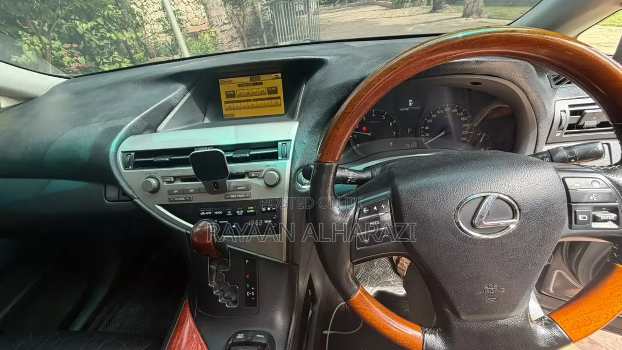 Lexus RX 2010 Gray