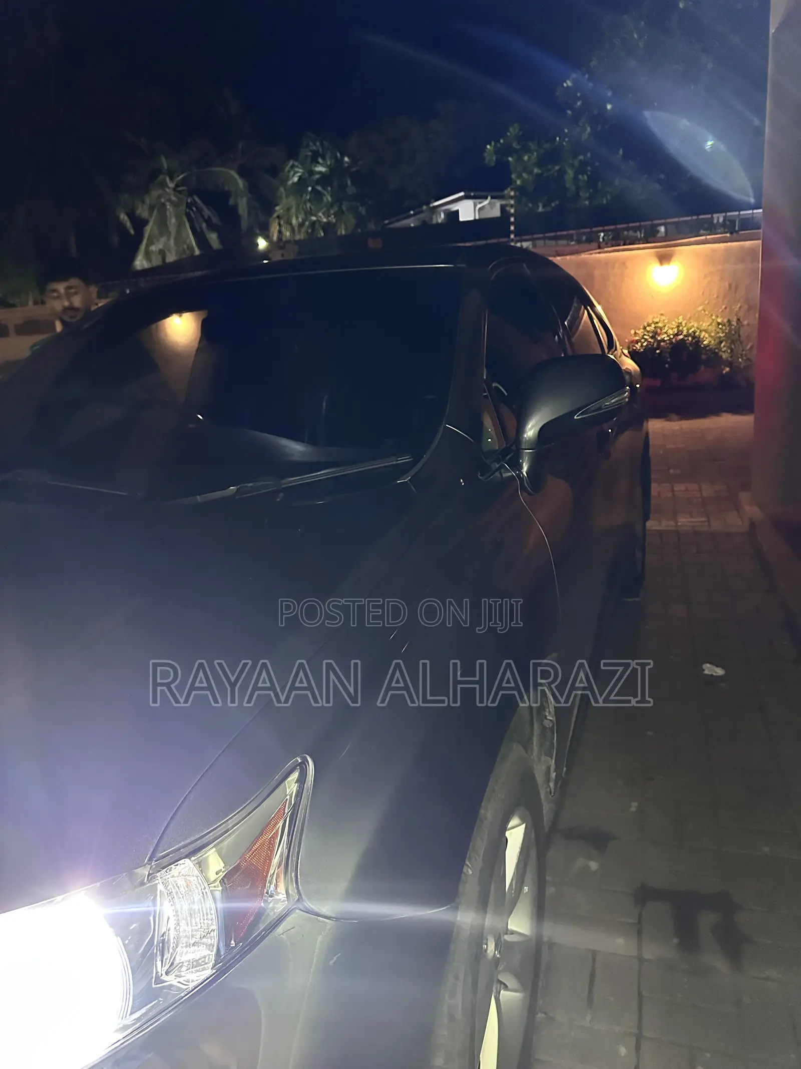 Lexus RX 2010 Gray