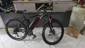 Brand New E Bike