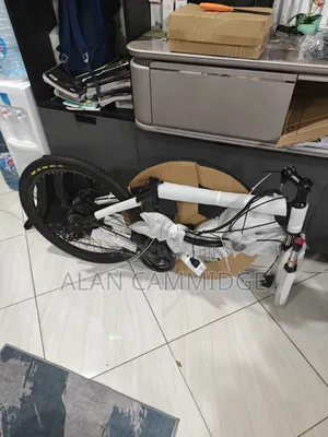 Brand New E Bike
