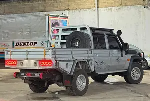 Toyota Land Cruiser 2025 Gray
