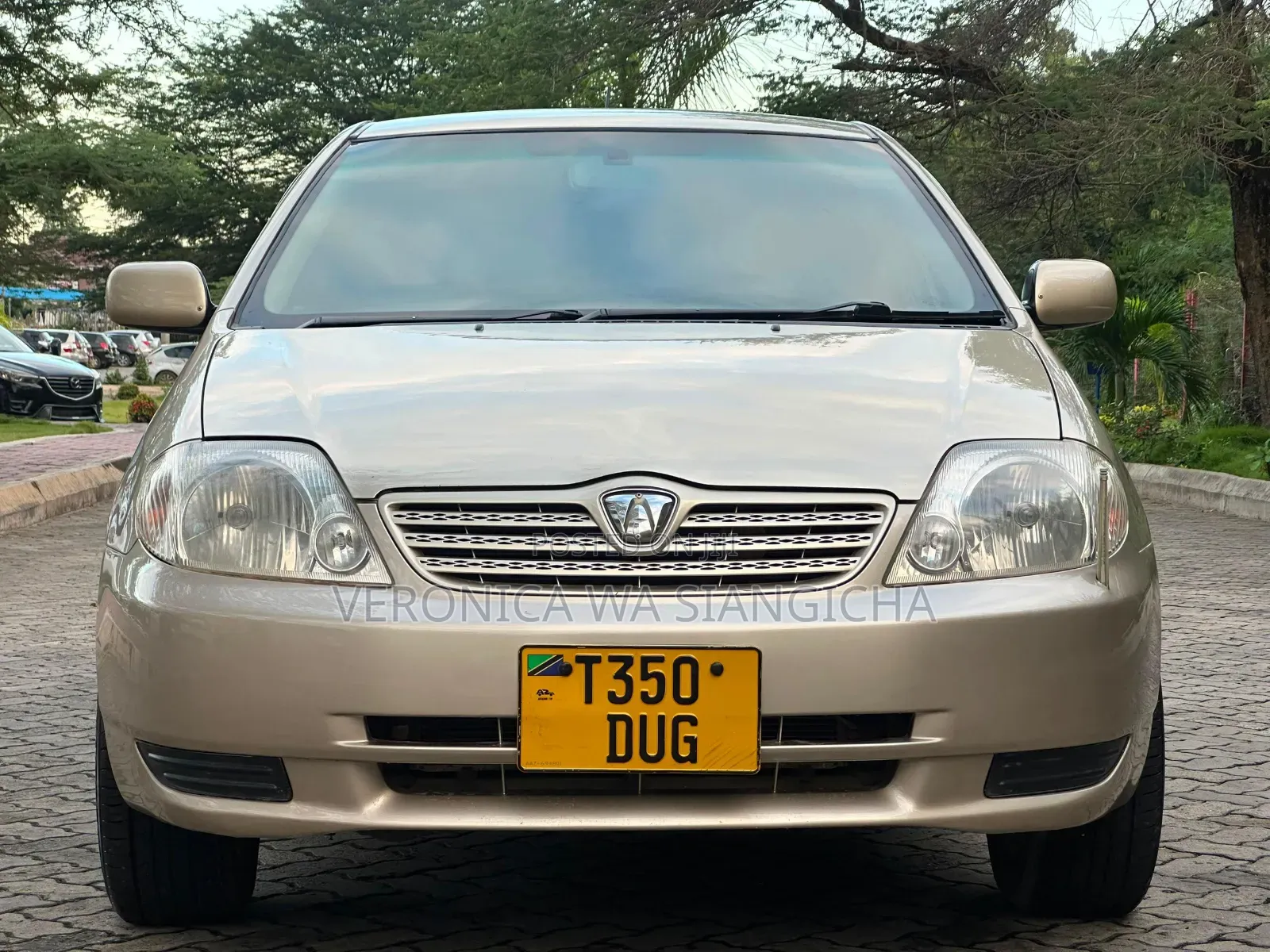 Toyota Allex 2003