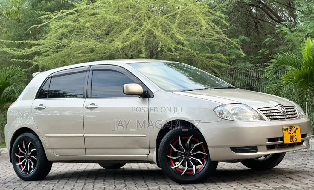 Toyota Allex 2003 Gold