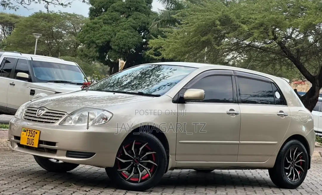 Toyota Allex 2003 Gold