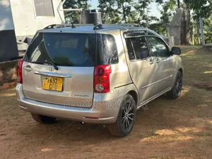 Toyota Raum 2008 Gold