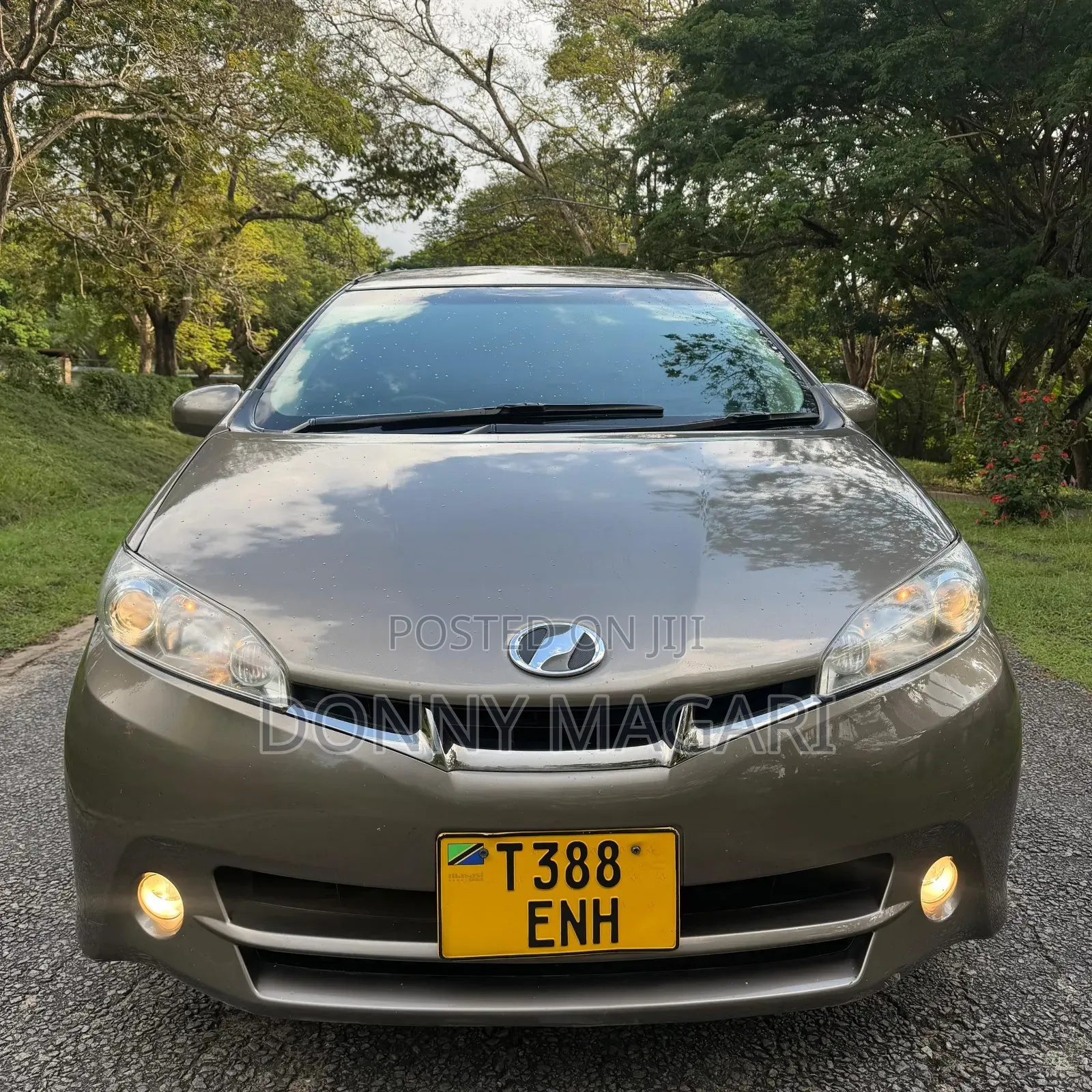 Toyota Wish 2010 Gray