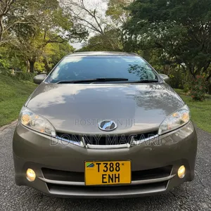 Toyota Wish 2010 Gray