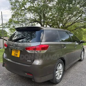 Toyota Wish 2010 Gray