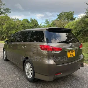 Toyota Wish 2010 Gray