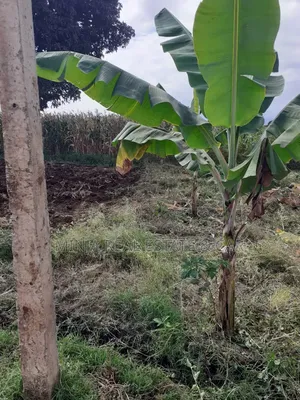 Cheap Plot for Sale Along Nduruma Road Arusha