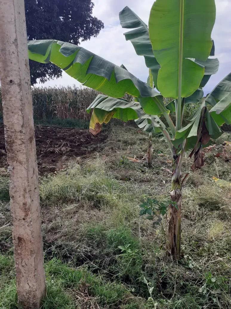Cheap Plot for Sale Along Nduruma Road Arusha