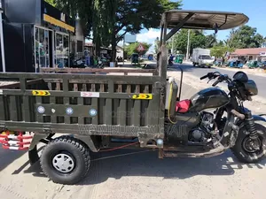 Bajaj 2025 Green