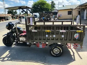Bajaj 2025 Green