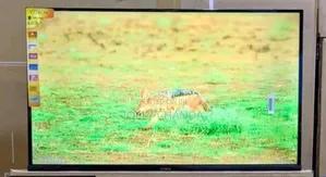 Vitron 32" Led Frameless