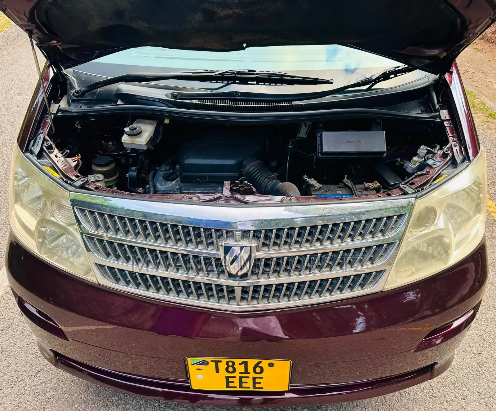 Toyota Alphard 2004 Maroon
