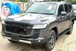 Toyota Land Cruiser 2024 Gray