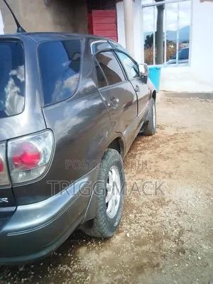 Toyota Harrier 2.2 16V 2001 Gray