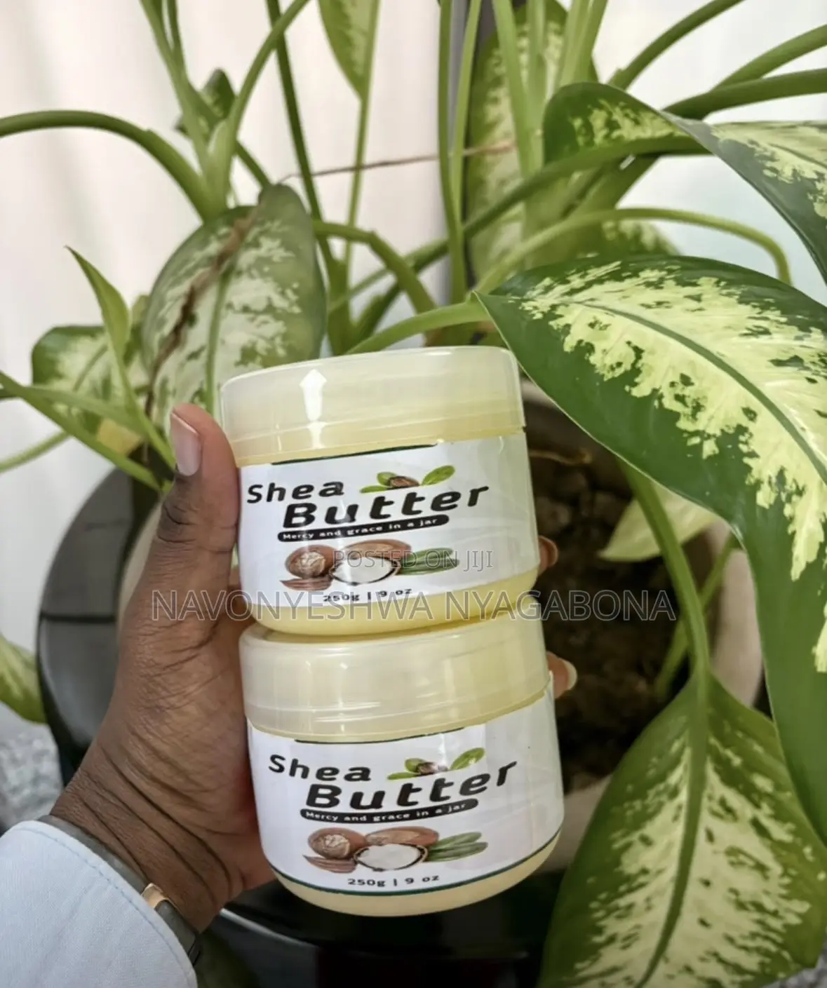 Whipped Shea Butter