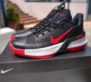 Nike Lebron Sneakers