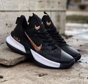 Nike Lebron Sneakers