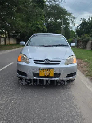 Toyota Corolla RunX 2003 Silver