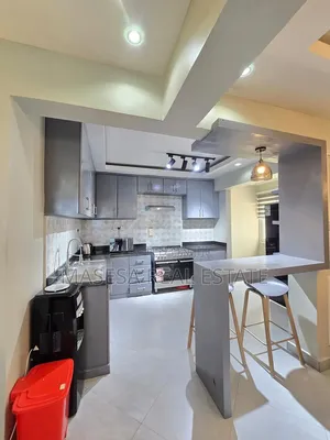 Furnished 3bdrm Apartment in Masaki for rent