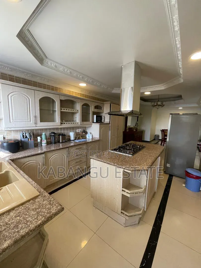 Furnished 3bdrm Apartment in Masaki for rent