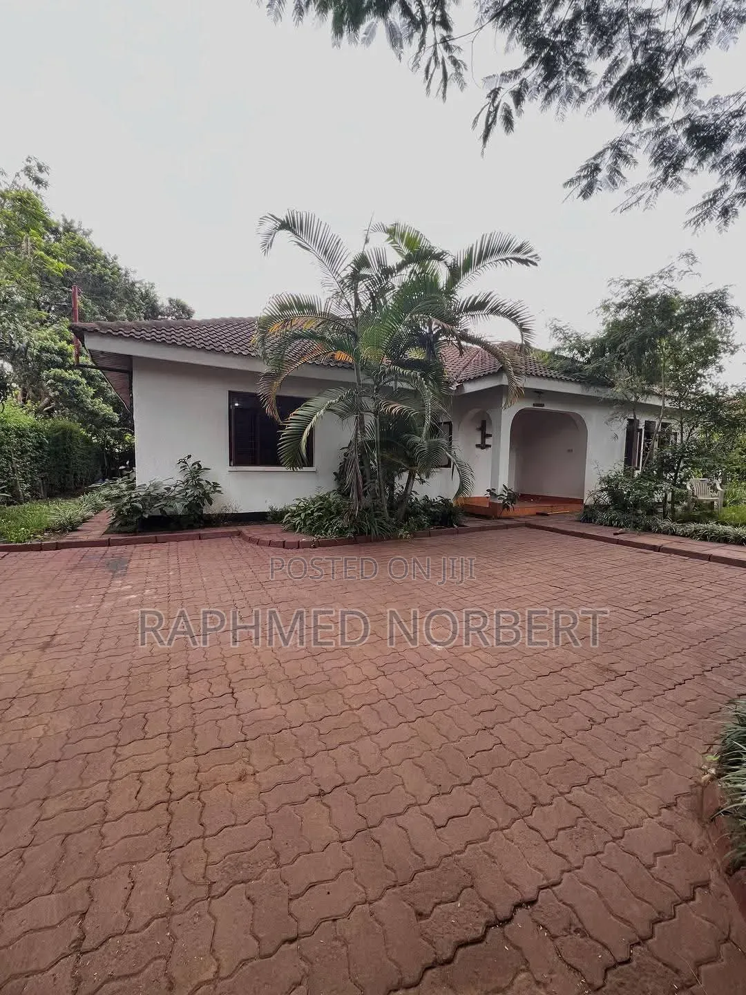 3bdrm House in Tanzania Real, Central Business Area for rent