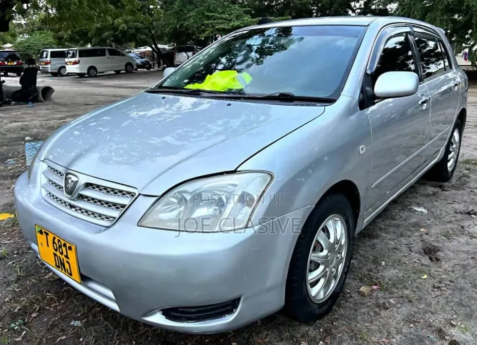 Toyota Allex 2004 Silver
