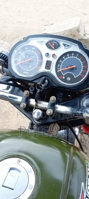 Bajaj Dominar 250 2025 Green