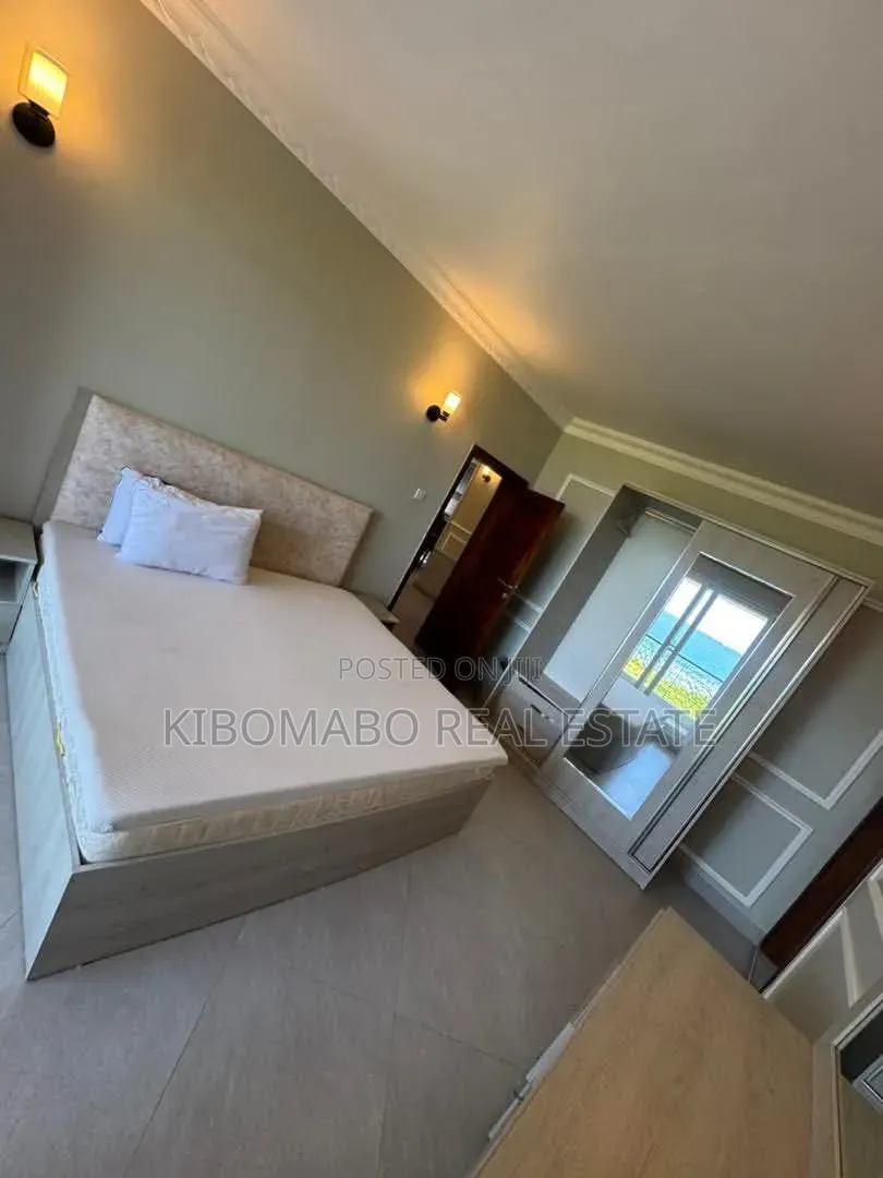 Furnished 3bdrm Apartment in Masaki for rent