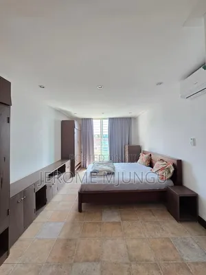 Furnished 3bdrm Apartment in Masaki for rent