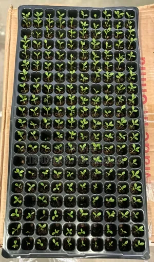 Cell Trays