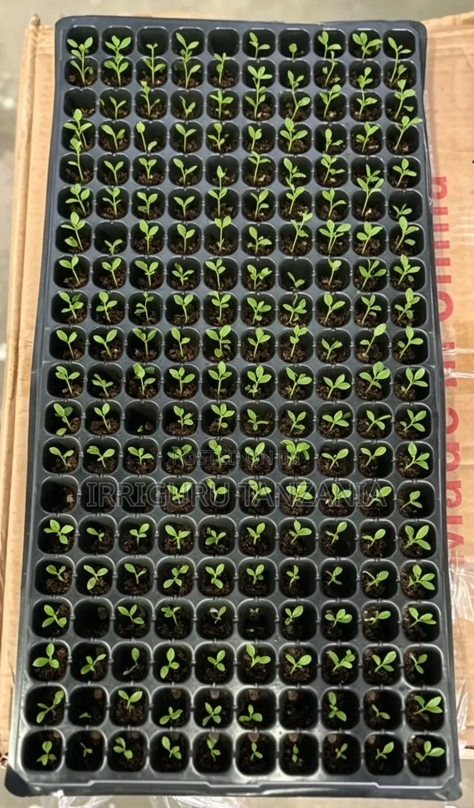 Cell Trays