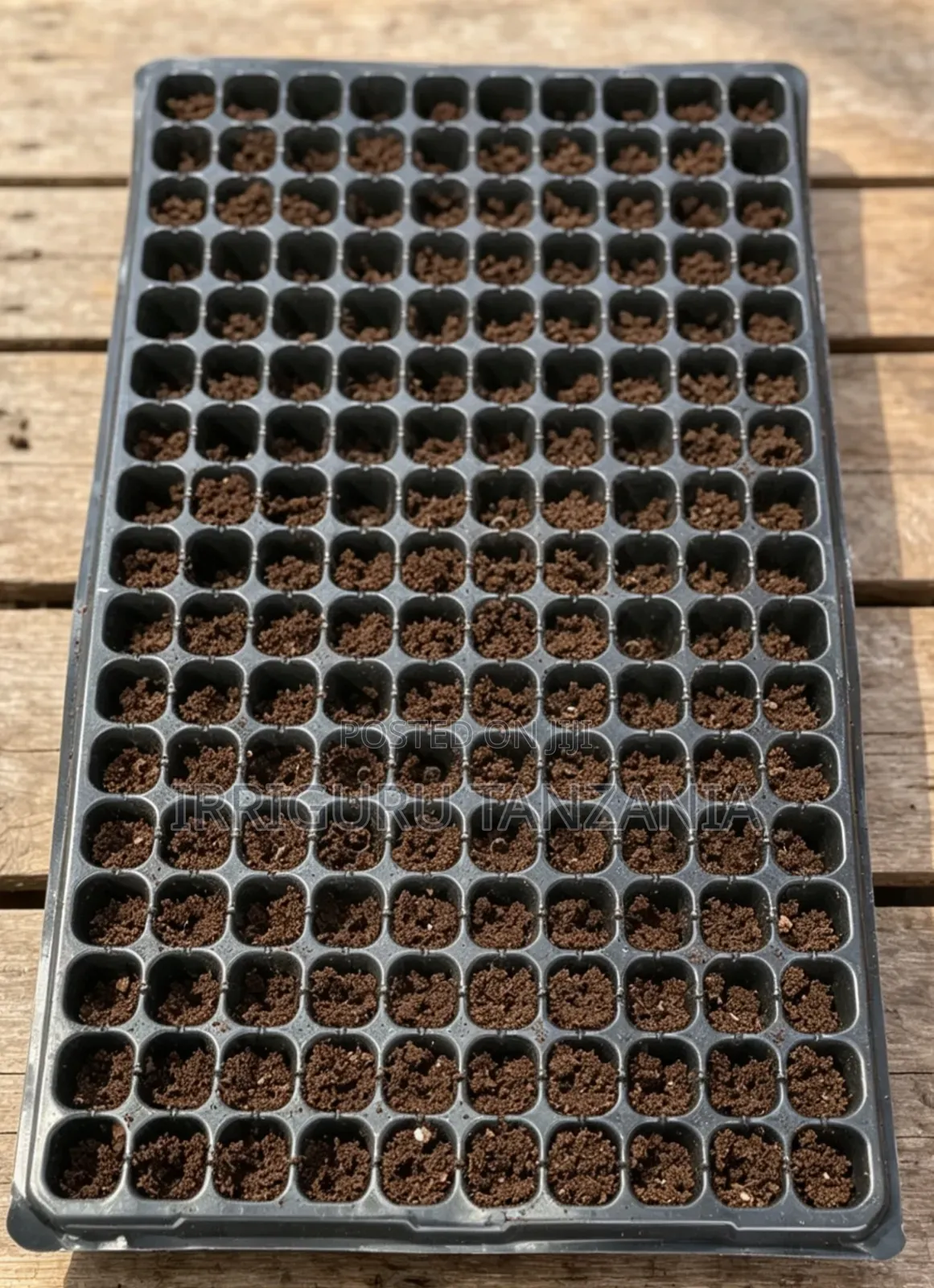 Sowing Trays