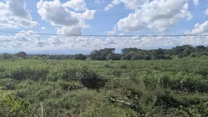 Kiwanja Kyela -Kasumulu Boarder Road