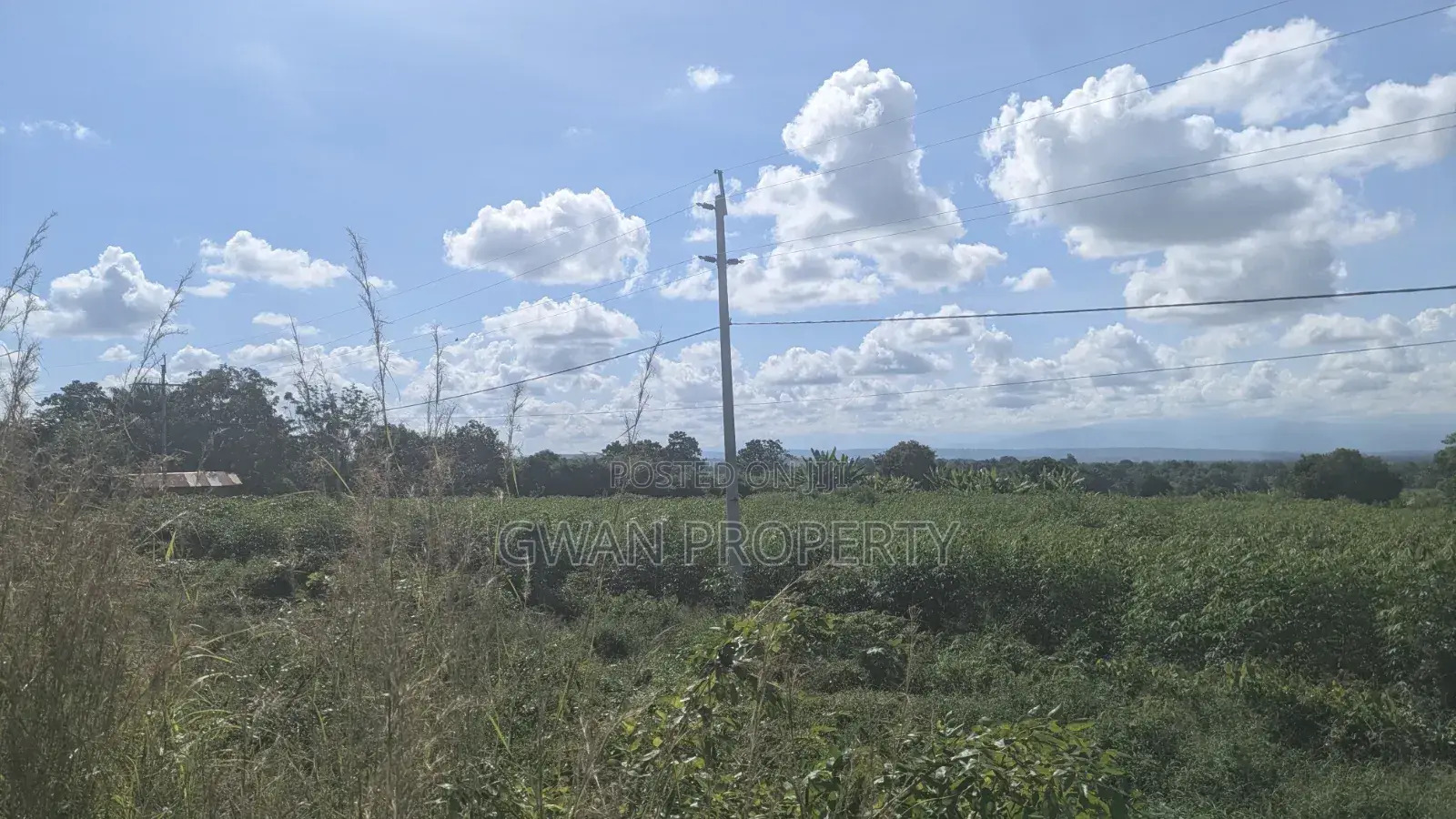 Kiwanja Kyela -Kasumulu Boarder Road