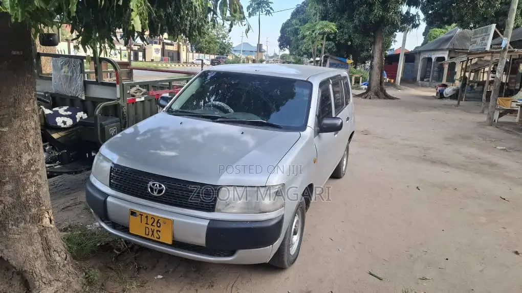 Toyota Probox 2004 Silver