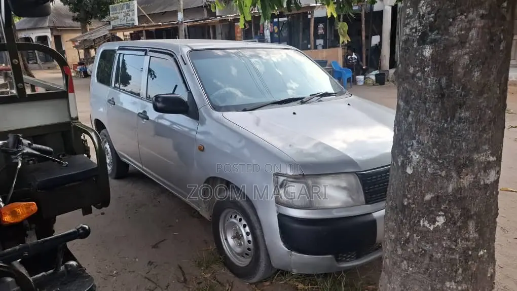 Toyota Probox 2004 Silver