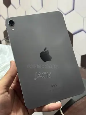 Apple iPad mini 7 256 GB Gray
