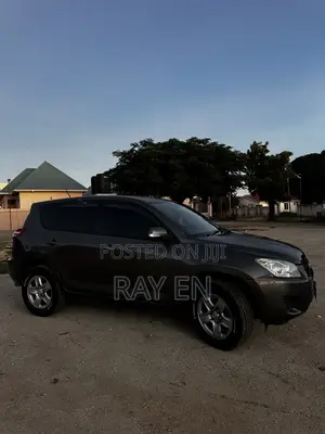 Toyota RAV4 2010 Brown