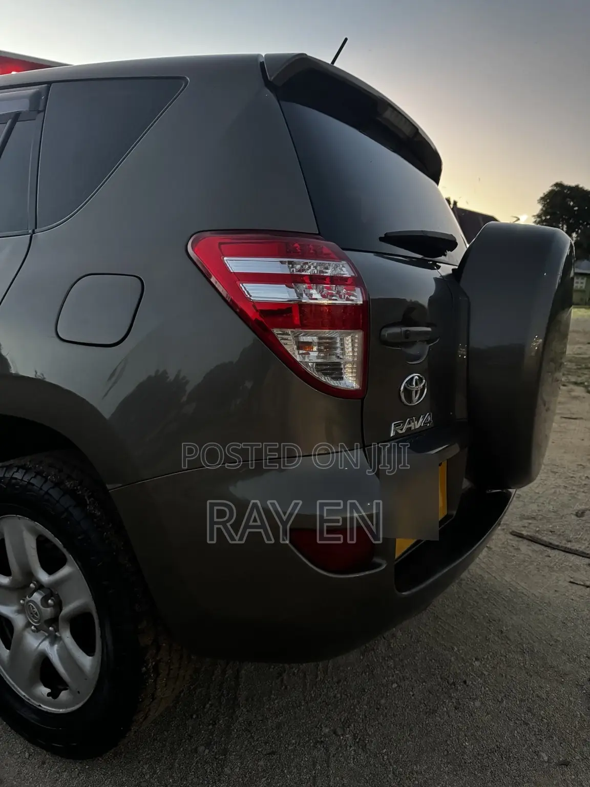 Toyota RAV4 2010 Brown